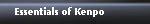 Essentials of Kenpo