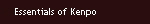 Essentials of Kenpo