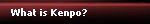What is Kenpo?