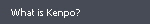 What is Kenpo?